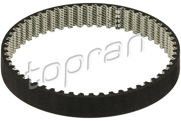 Timing Belt 113 869