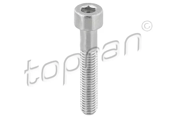 Bolt, brake caliper 110 708