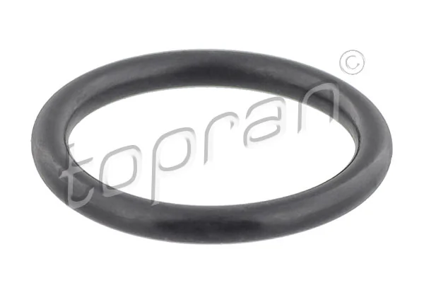 Seal Ring, radiator cap bolt 103 007