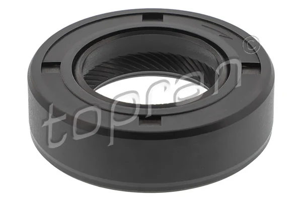 Shaft Seal, drive shaft 100 054