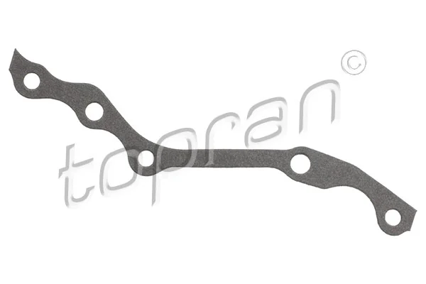 Gasket, timing case 201 228