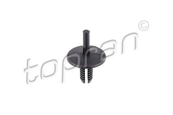 Expanding Rivet 501 944