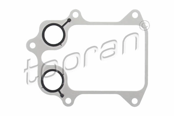 Gasket, oil cooler 117 359