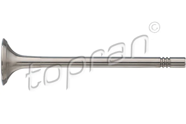 Exhaust Valve 112 934