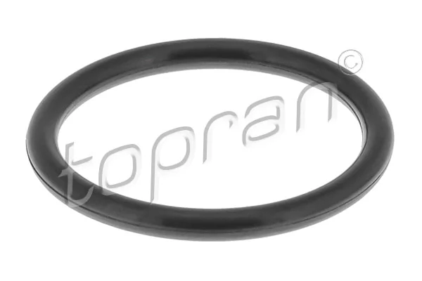 Seal Ring, coolant pipe 119 259