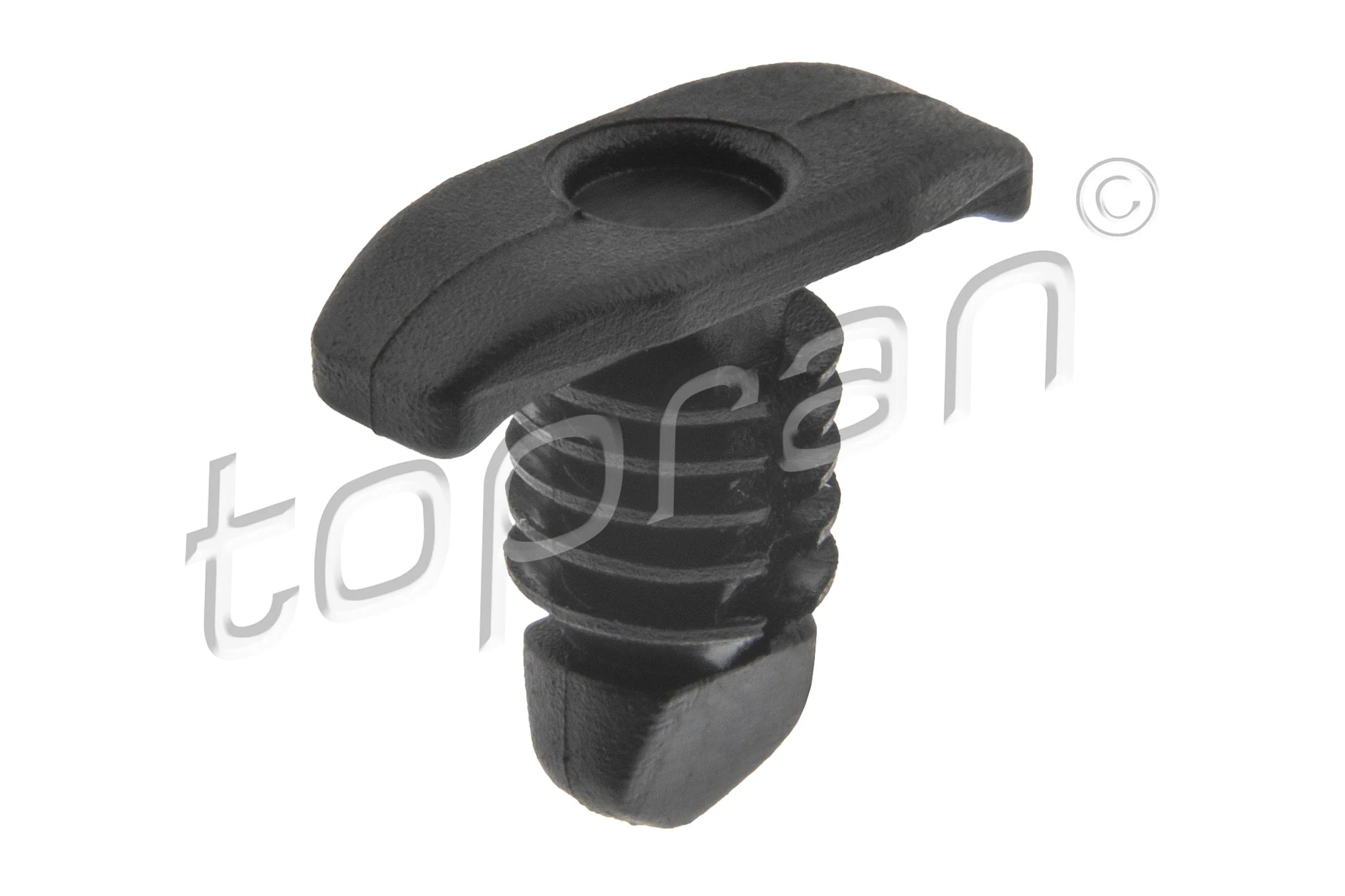 Retaining Clip, door panel 103 307