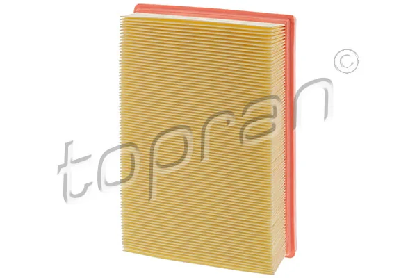 Air Filter 208 496