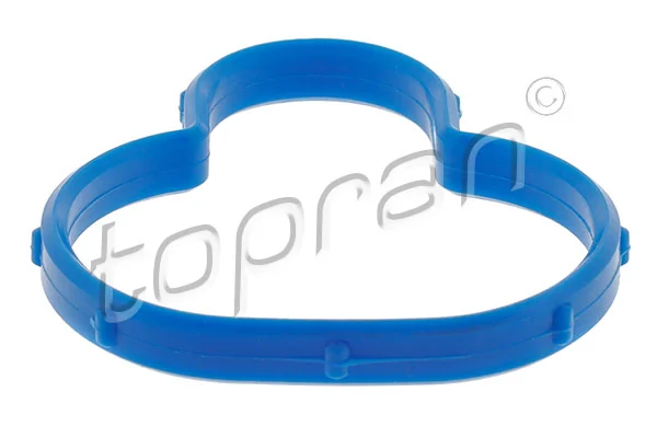 Gasket, intake manifold 302 268