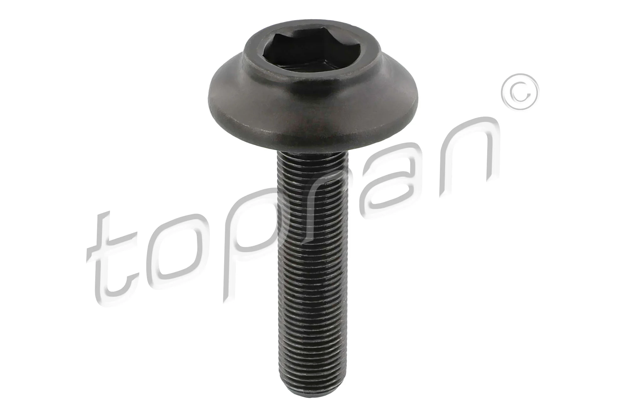 Axle Bolt, drive shaft 120 979