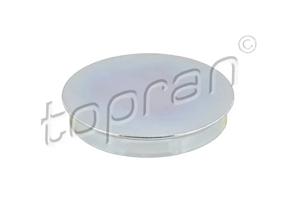 Protection Lid, wheel hub 111 316