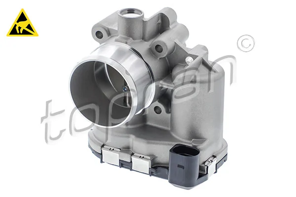 Throttle Body 305 545