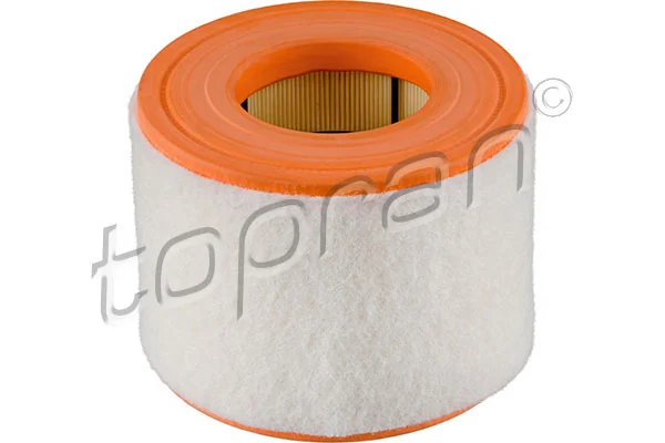 Air Filter 113 904