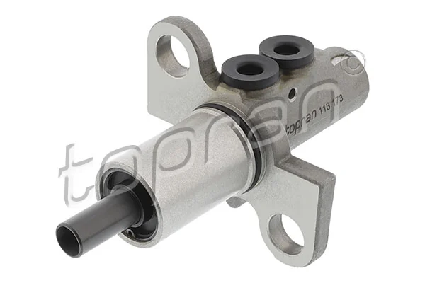Brake Master Cylinder 113 173