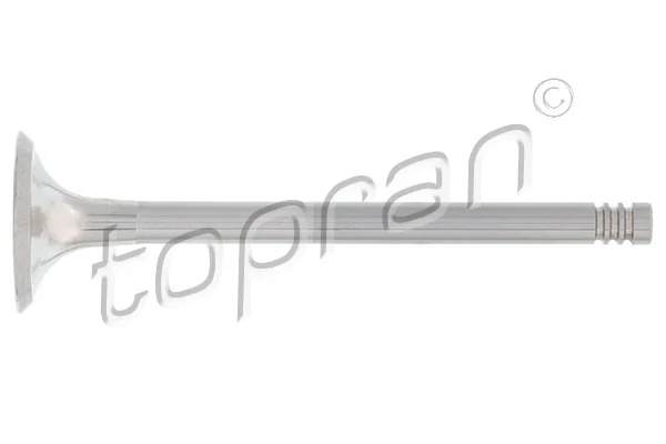 Exhaust Valve 110 198