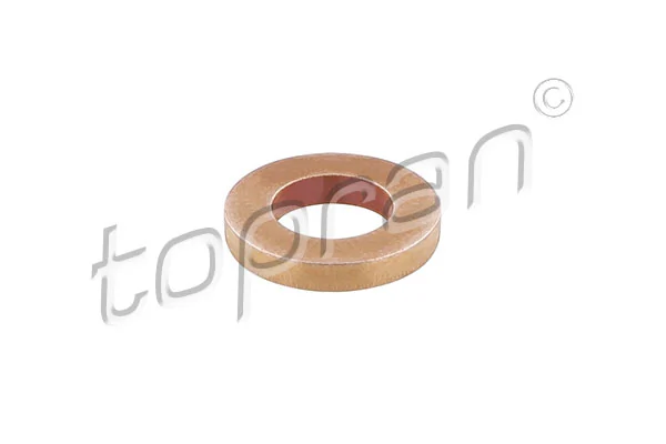 Seal Ring, injector 118 076