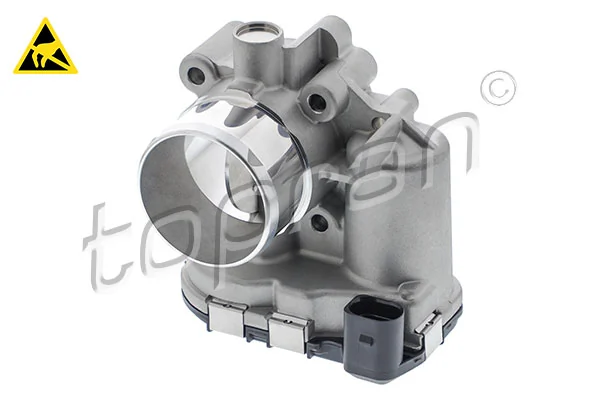 Throttle Body 305 544