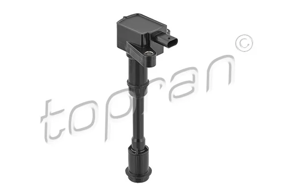 Ignition Coil 305 125