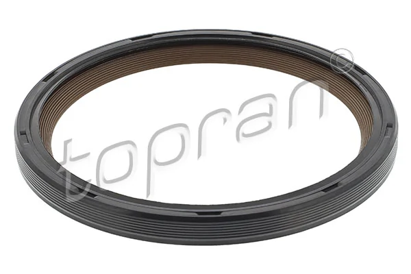Shaft Seal, crankshaft 503 582