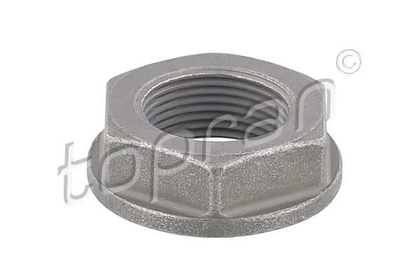 Axle Nut, drive shaft 723 449