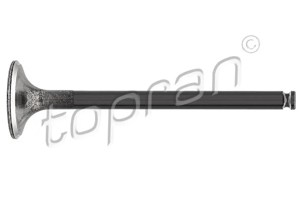 Exhaust Valve 400 972