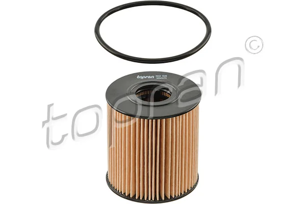 Oil Filter 302 318
