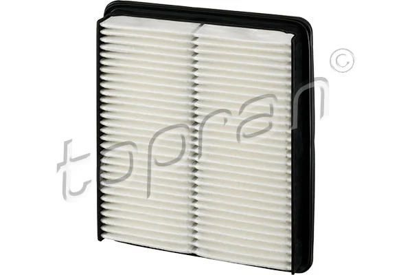 Air Filter 820 211