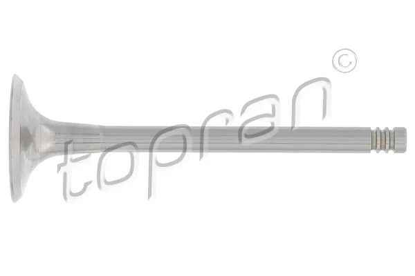 Intake Valve 110 200