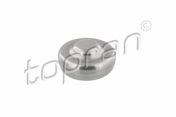 Plug, rocker arm shaft mounting bore 305 344