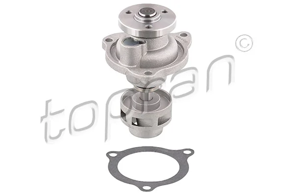 Water Pump, engine cooling 302 224