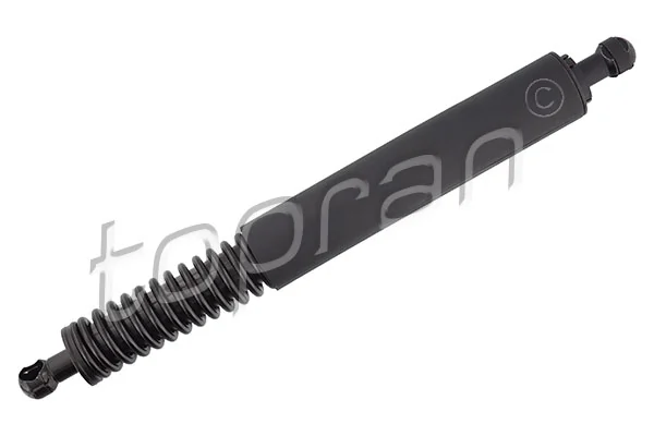 Gas Spring, boot/cargo area 114 069