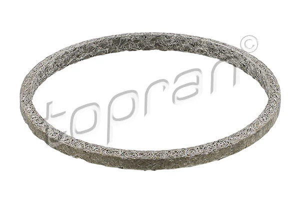 Gasket, exhaust pipe 410 060