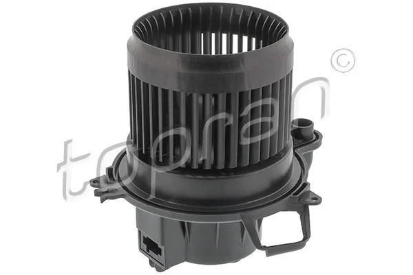 Interior Blower 702 547