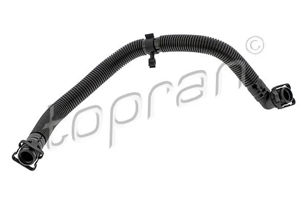 Hose, crankcase ventilation 115 601