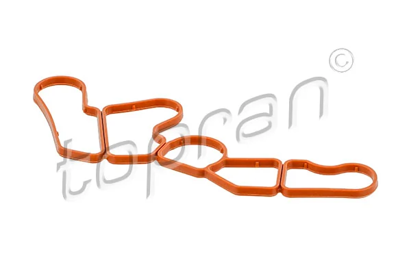 Gasket, timing case 409 738