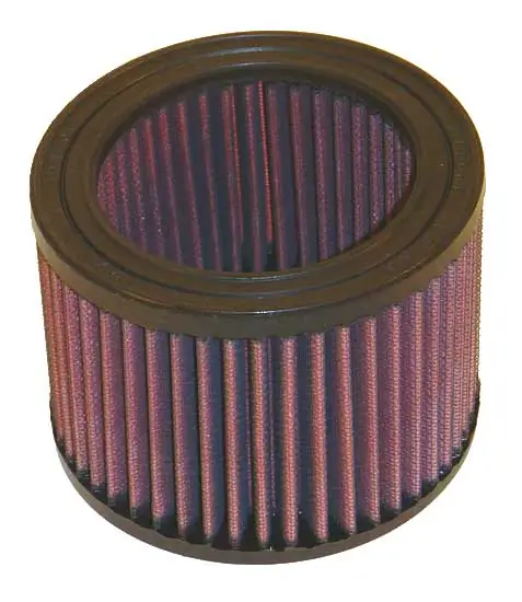 Air Filter E-2400