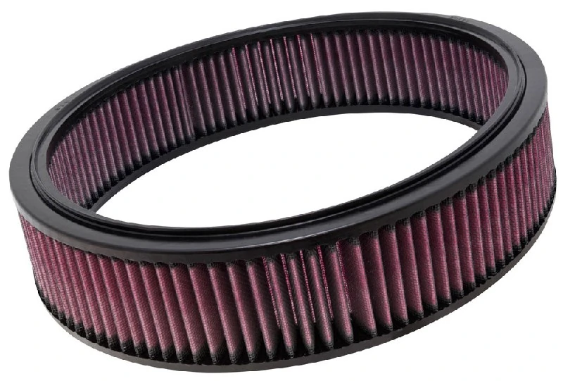 Air Filter E-2872