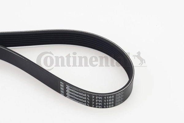 V-Ribbed Belt 7PK1165