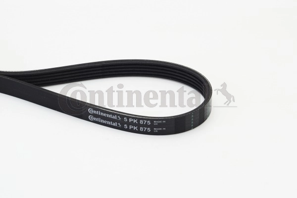 V-Ribbed Belt 5PK875