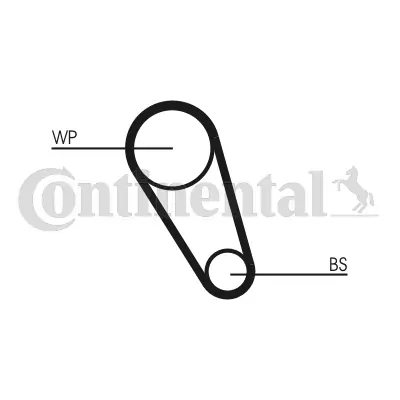 Timing Belt CT1169