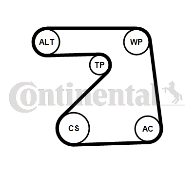 CONTINENTAL CTAM 5PK1334WP1 Water Pump + V-Ribbed Belt Kit