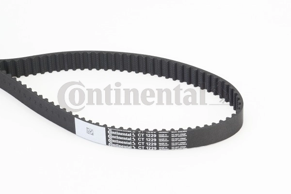 Timing Belt CT1229
