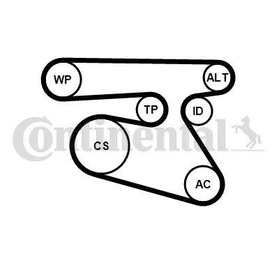 Water Pump + V-Ribbed Belt Kit 5PK1960WP1