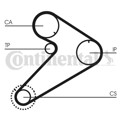 Timing Belt Kit CT921K2