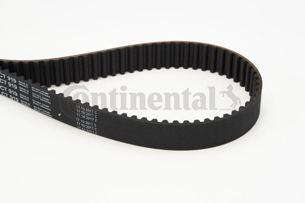 Timing Belt CT919
