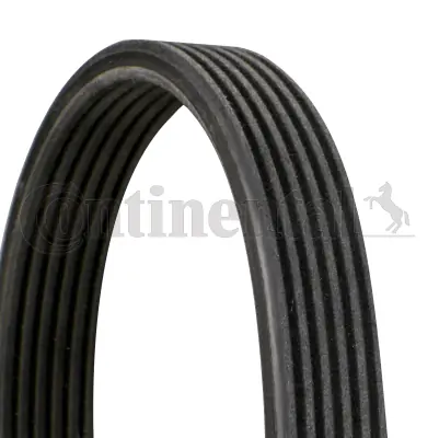 V-Ribbed Belt 6DPK1195