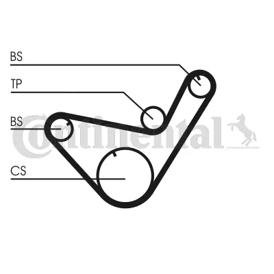 Timing Belt Kit CT714K1