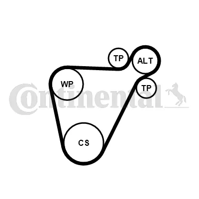 V-Ribbed Belt Set 8PK954 EXTRA K1