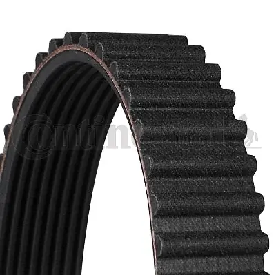 Timing Belt CT530