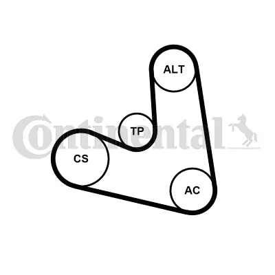 CONTINENTAL CTAM 4PK654K1 V-Ribbed Belt Set