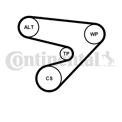 CONTINENTAL CTAM 5PK1230K1 V-ribbed Belt Set